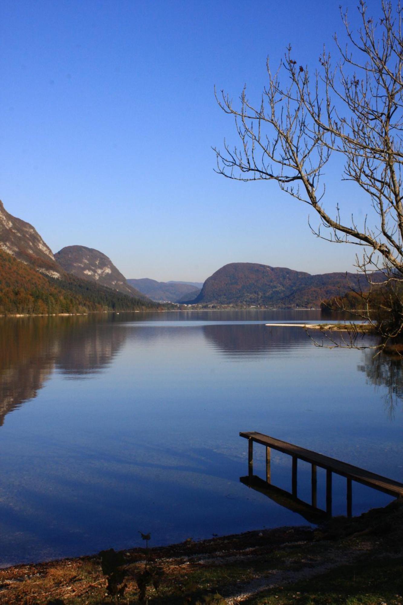 Apartments Susnik Bohinj Eksteriør bilde