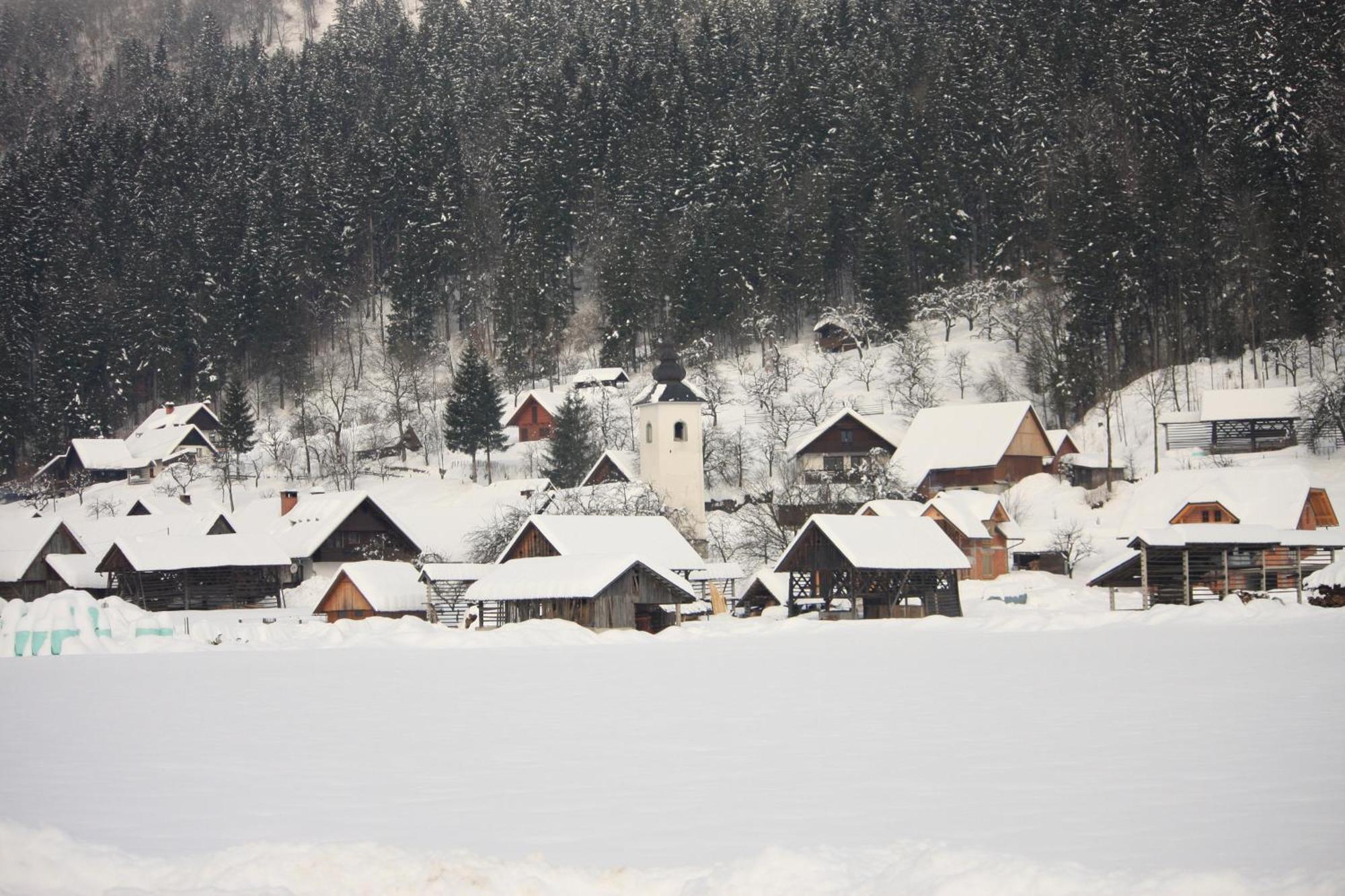 Apartments Susnik Bohinj Eksteriør bilde
