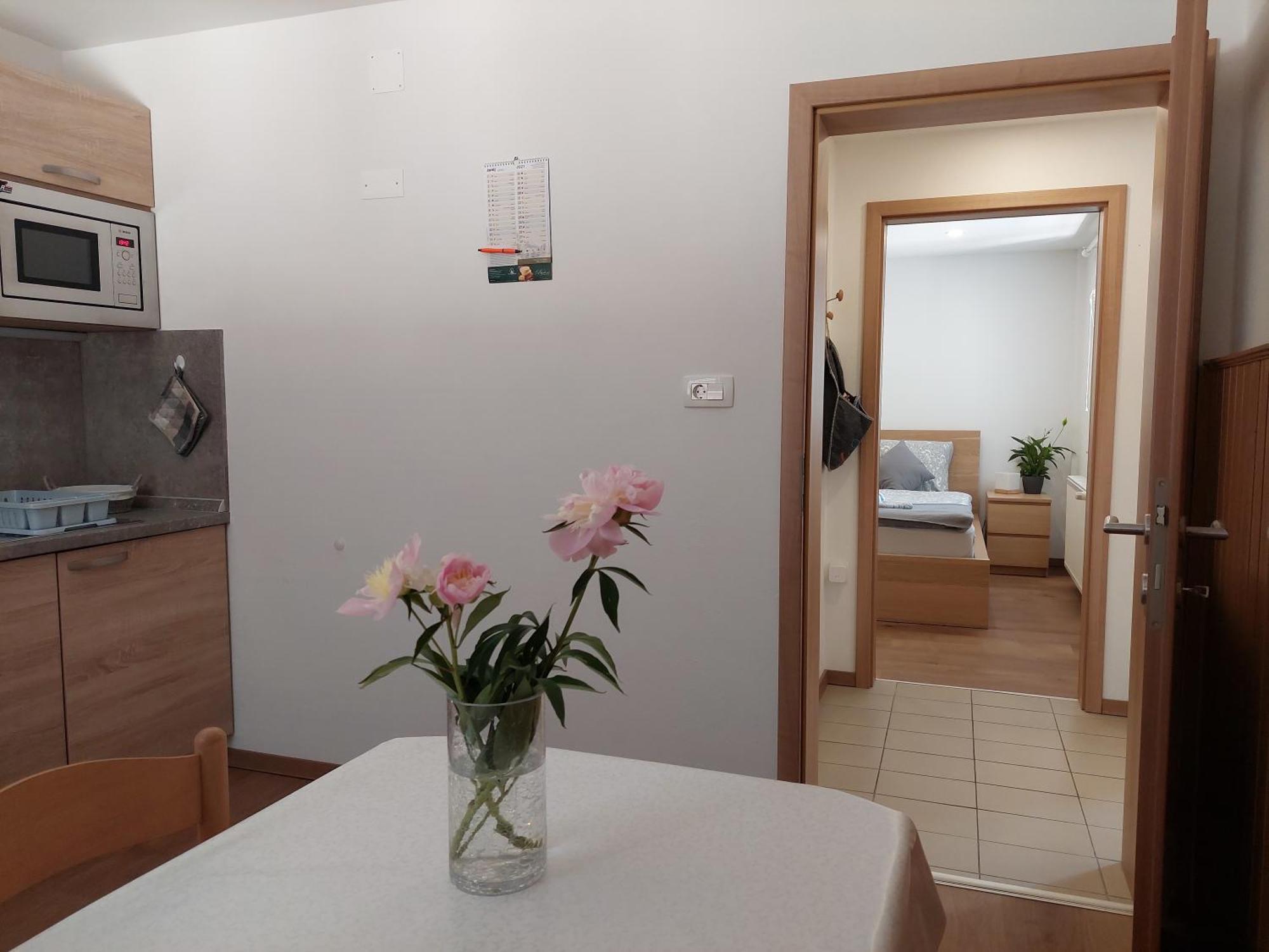 Apartments Susnik Bohinj Rom bilde